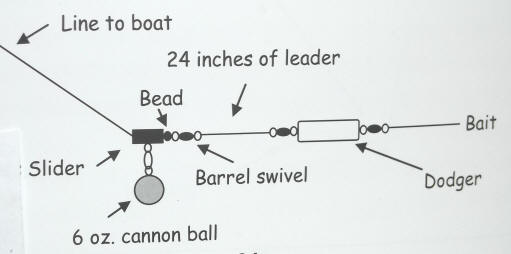 kokanee rig set up